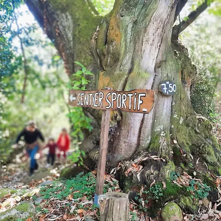 Camping Le Rural Tibiran-Jaunac