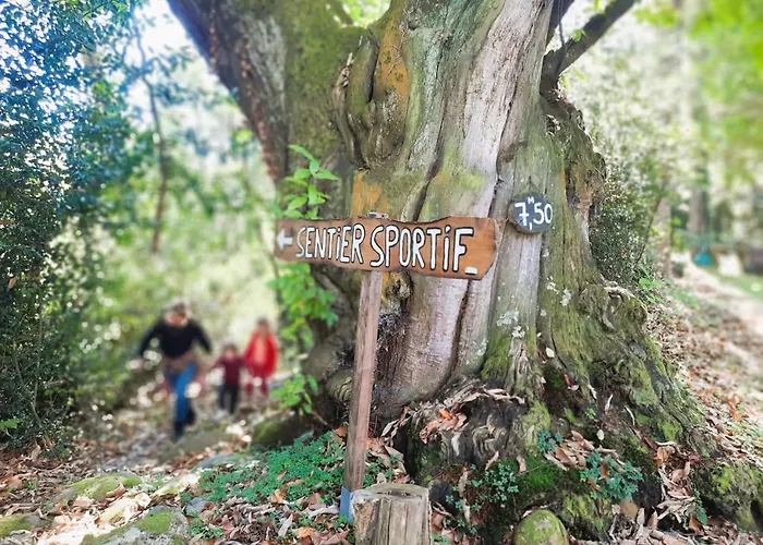 캠프장 Le Rural Tibiran-Jaunac